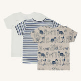 HCAlbert- T-shirt s/s 3 pack